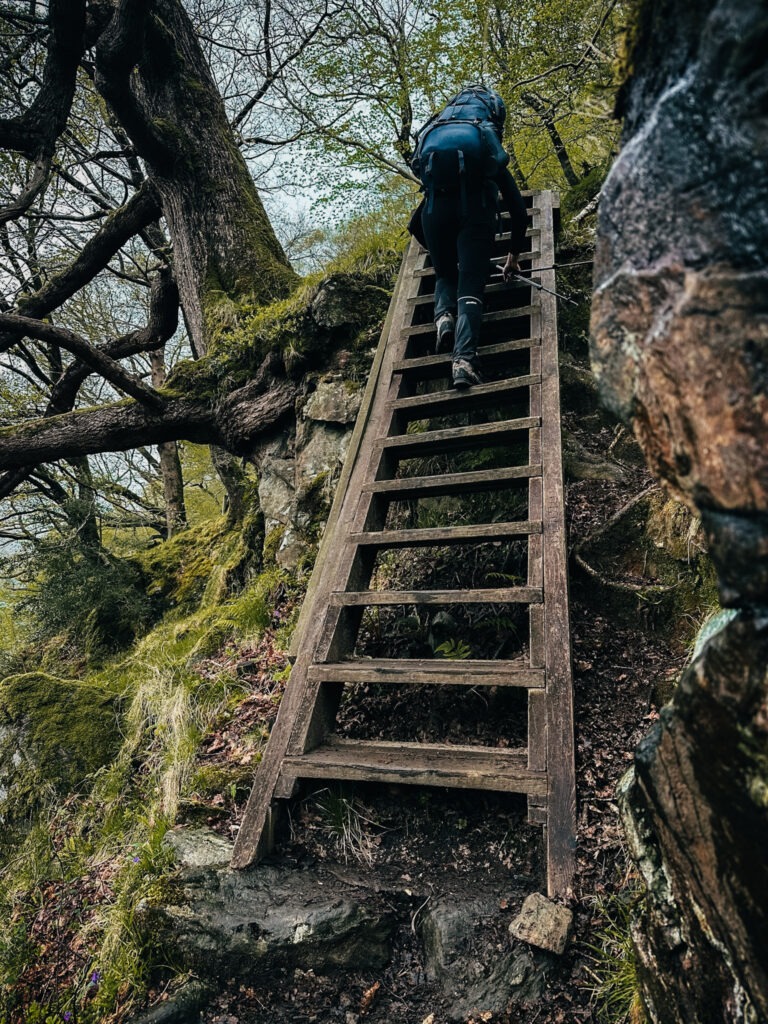 West Highland Way - drabina na szlaku wzdłuż Loch Lomond